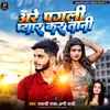 About Are Pagli Pyar Kara Tani Song